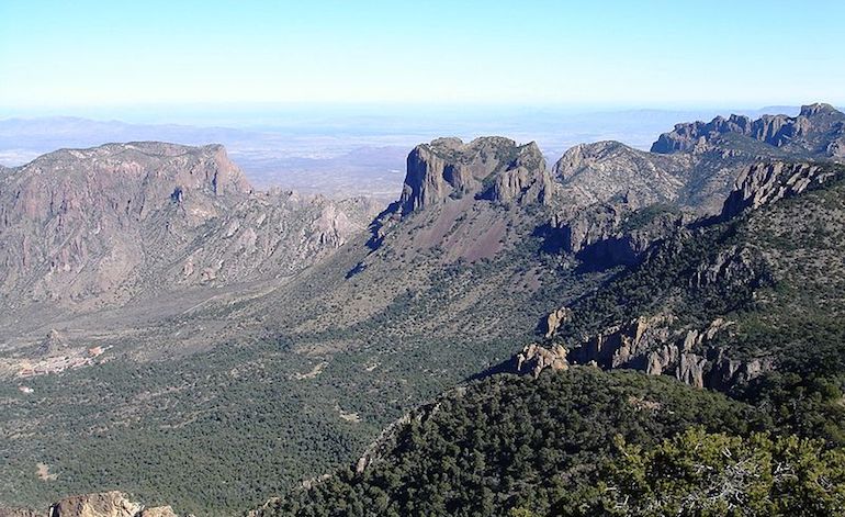 Plant dieback in the recent drought in Big Bend National Park, Texas