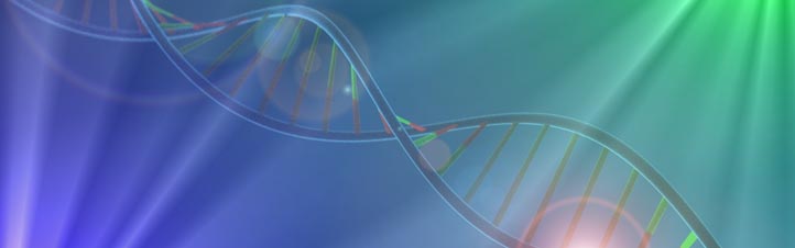 Bioinformatics and Genomics