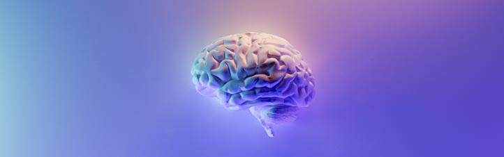Brain, Cognition and Mental Health
