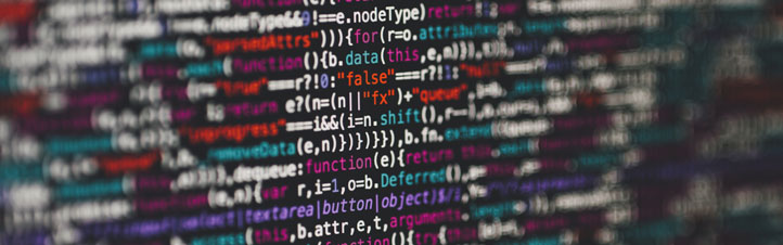 Software Development